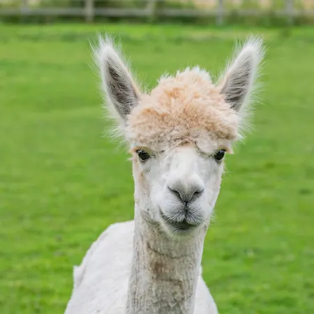 Stubbs Grange Barn Casa vacanze Fenwick (South Yorkshire)