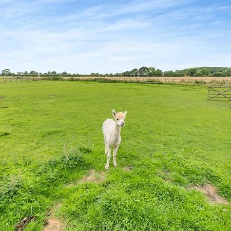בית נופש Stubbs Grange Barn Fenwick (South Yorkshire)